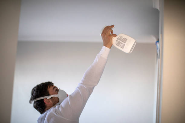 Office Mold Removal Services in Cascade, ID